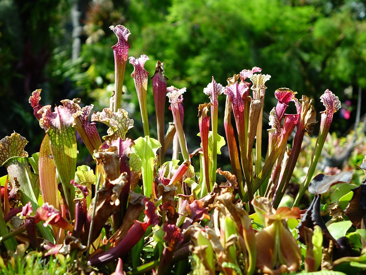 Aktien für Anfänger: Sidestep the Pitfalls: A Beginner’s Stock Guide